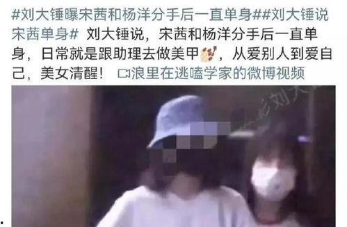 刘大锤爆料恋情杨洋视频,甜蜜视频曝光，粉丝热议  第1张